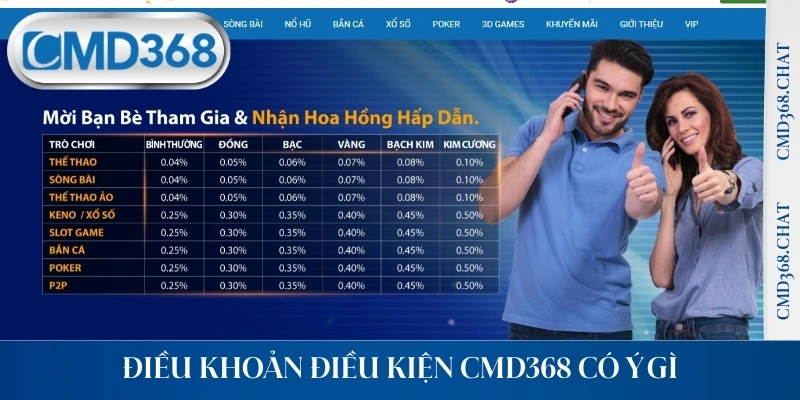 Điều khoản điều kiện CMD368 có ý gì